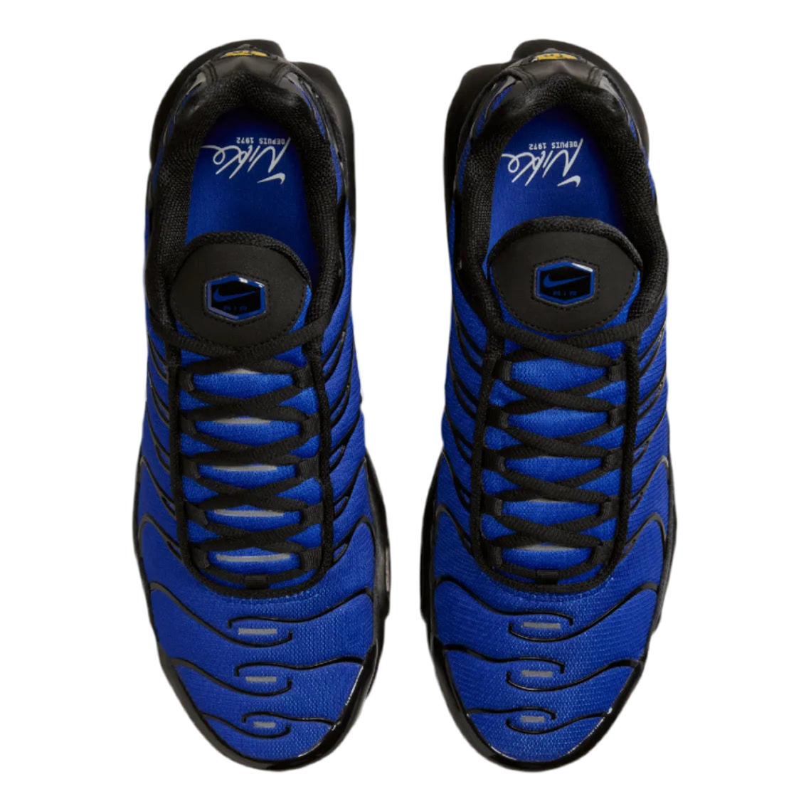 Nike Air Max Plus  ‘Rcer Blue'