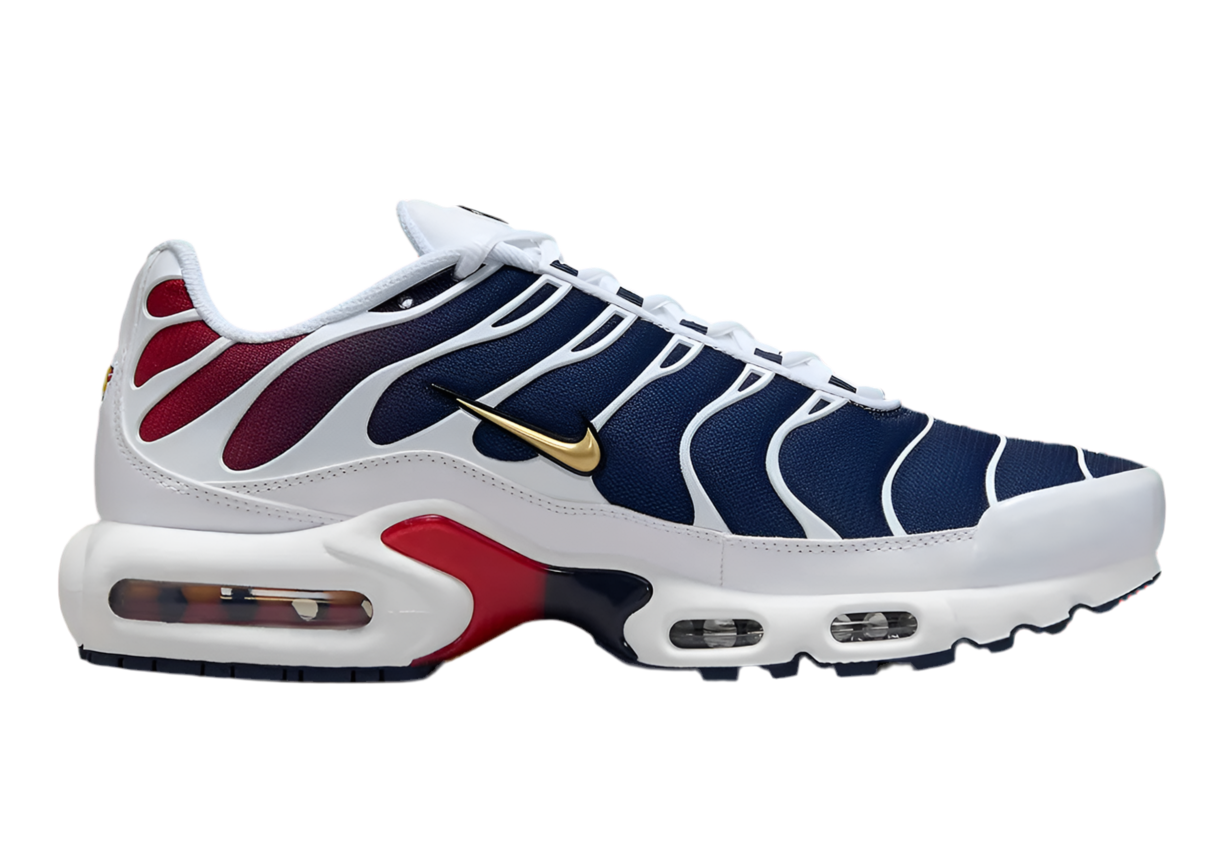Nike Air Max Plus 'PSG’