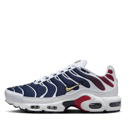 Nike Air Max Plus 'PSG’